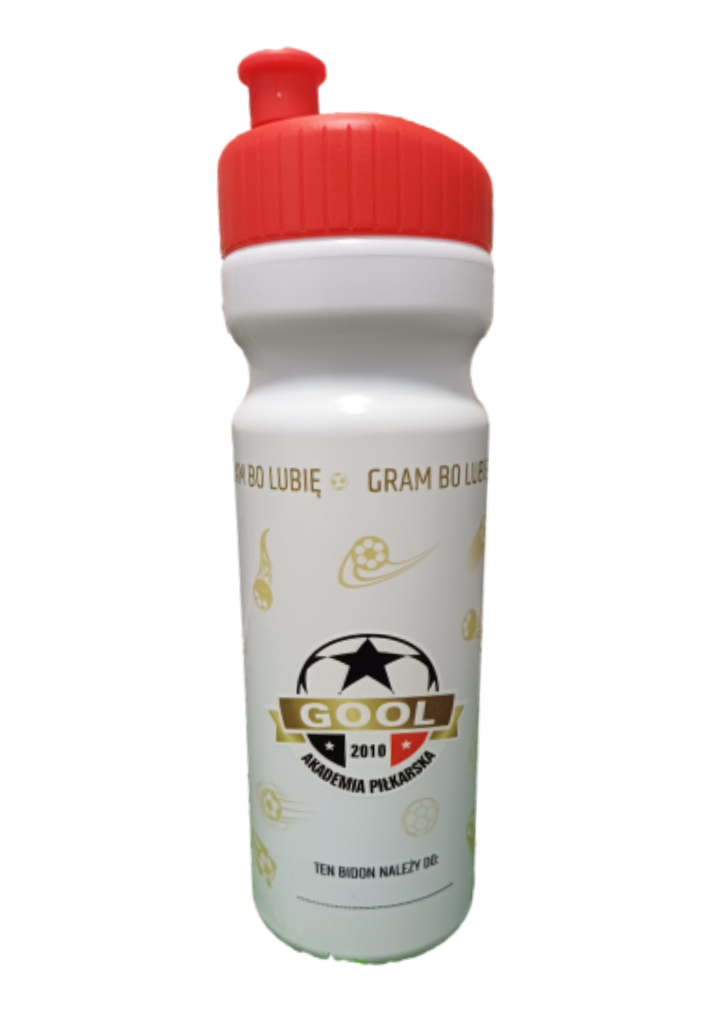 Projekt bez nazwy (1)